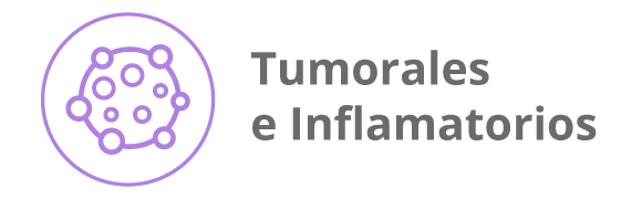Categoria 6