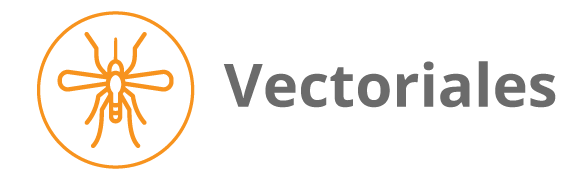 Categoria 8