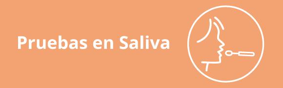 Categoria 24 Hover