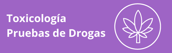 Categoria 14 Hover