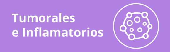 Categoria 6 Hover