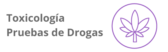 Categoria 14