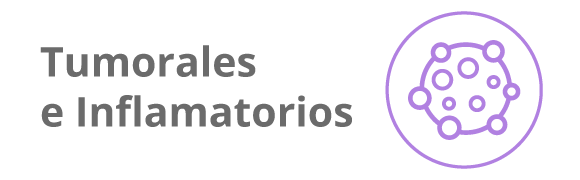 Categoria 6