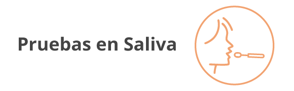 Categoria 24