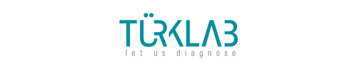 nv-hm-logo-turklab-500-100