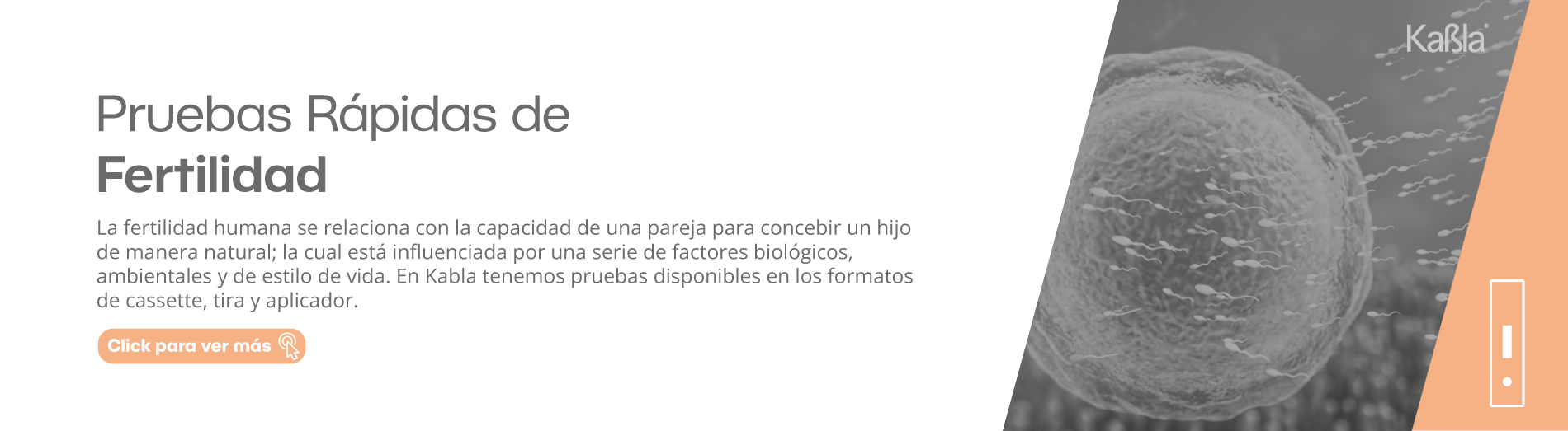 banner-paginas-intermedias-web-pruebas-rapidas-fertilidad