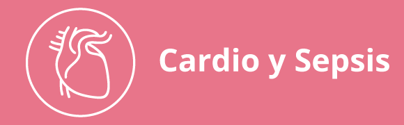 Categoria 39 Hover