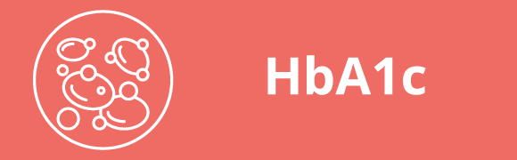 Categoria 28 Hover