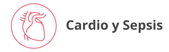 Categoria 39