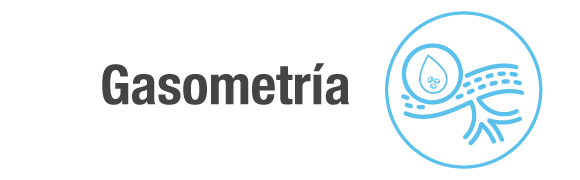Categoria 45