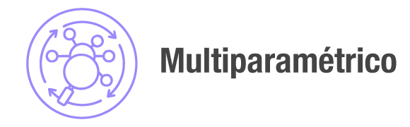 Categoria 38