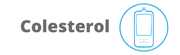 Categoria 56