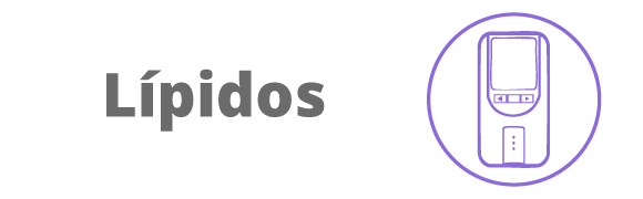Categoria 58