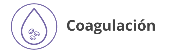 Categoria 30