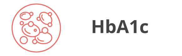 Categoria 28