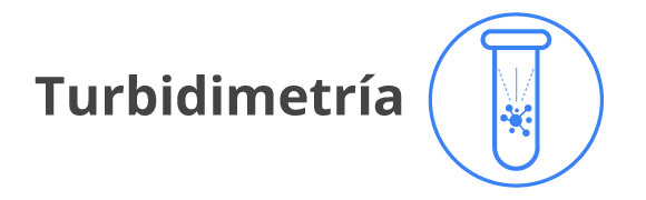 Categoria 33