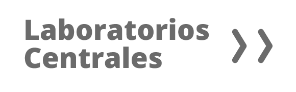 Categoria 60