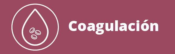 Categoria 63 Hover