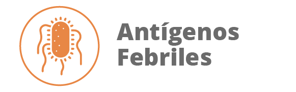 Categoria 68
