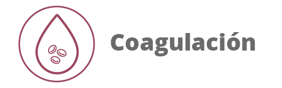 Categoria 63