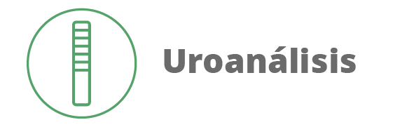 Categoria 72