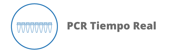 Categoria 92