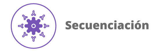 Categoria 93