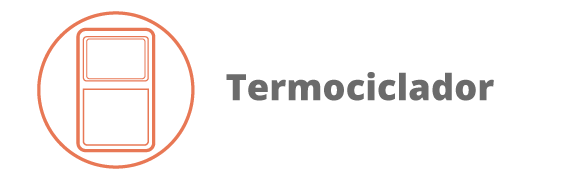 Categoria 96