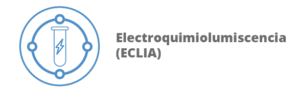 Categoria 85