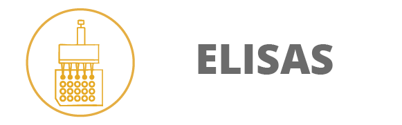 Categoria 85