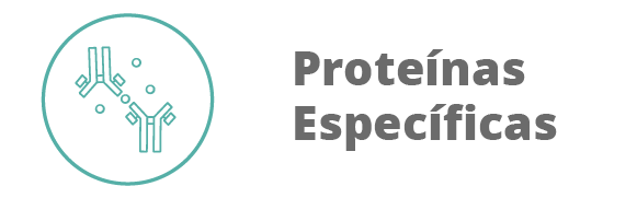 Categoria 85