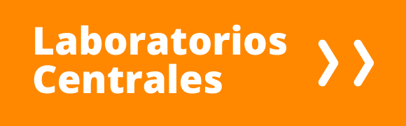 Categoria 60 Hover