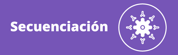 Categoria 98 Hover