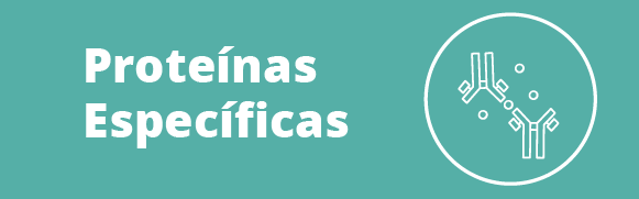 Categoria 89 Hover