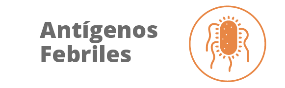 Categoria 80