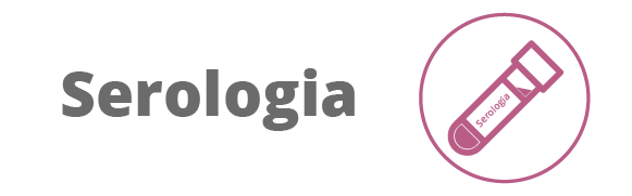 Categoria 82