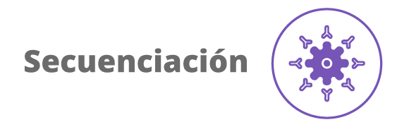 Categoria 98