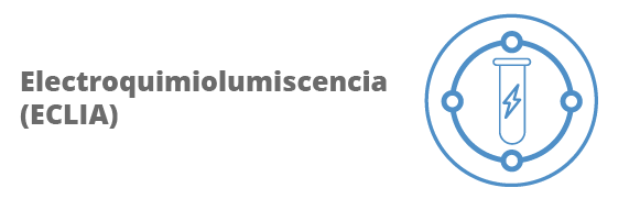 Categoria 87
