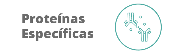 Categoria 89