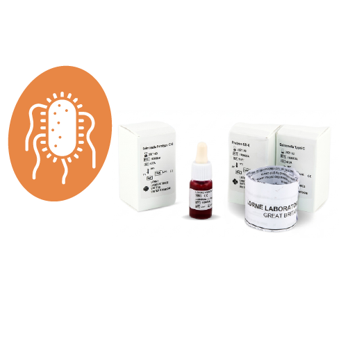 nv-hm-bioquimica-antigenos-febriles-lorne