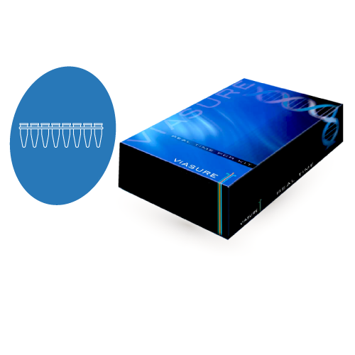 nv-hm-diagnostico-molecular-ngs-pcr-tiempo-real-m-tuberculosis-complex-viasure