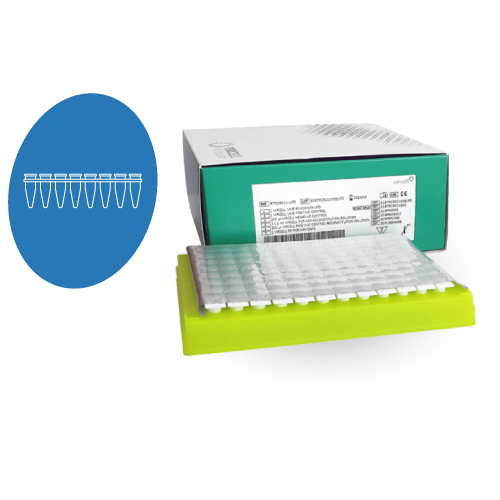 nv-hm-diagnostico-molecular-ngs-pcr-tiempo-real-panel-vaginal-vircell