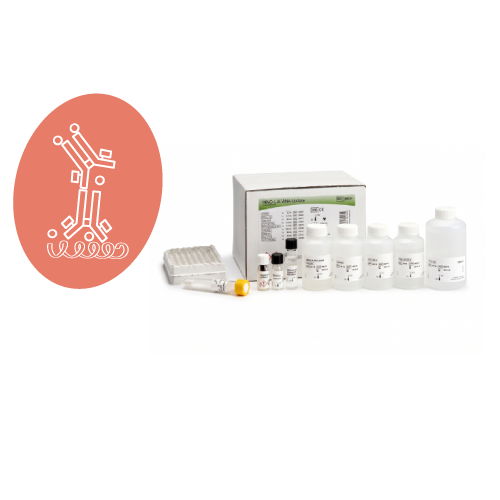 nv-hm-inmunologia-inmunoblot-ana-update-inno-lia-fujirebio