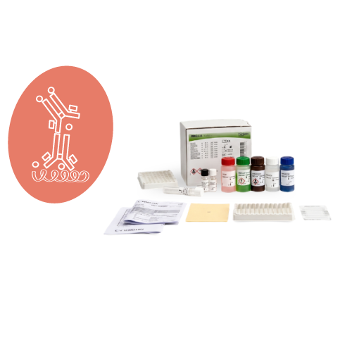nv-hm-inmunologia-inmunoblot-sifilis-score-inno-lia-fujirebio